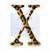 CarlosCix