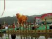 No podía faltar la danza tradicional de los leones cantoneses.